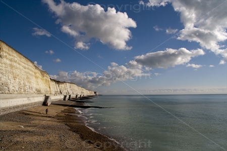 Brighton Shoreline 1